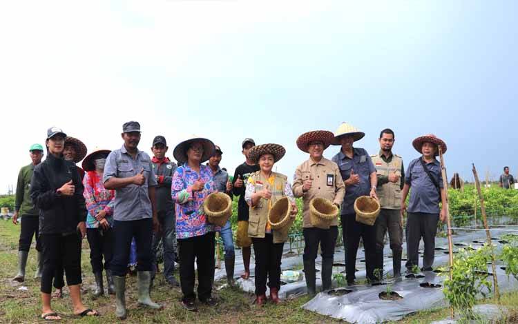 Penyumbang Utama Inflasi Kalteng, Dipicu Kenaikan Harga Tiket Pesawat