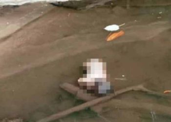 Bayi Terapung di Sungai Lamandau Korban Aborsi
