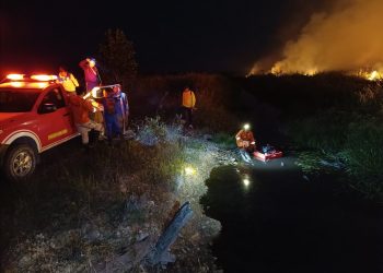 BPBD Lamandau Sempat Kesulitan Padamkan Karhutla