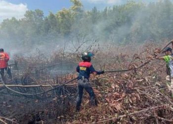 BPBD Palangka Raya Tangani Lahan Gambut Terbakar Seluas 730,11 Hektar