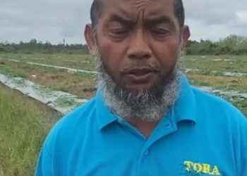 Kelompok Tani Barito Selatan Ucapkan Terima Kasih kepada Presiden Jokowi atas Pembangunan Pertanian