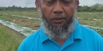 Kelompok Tani Barito Selatan Ucapkan Terima Kasih kepada Presiden Jokowi atas Pembangunan Pertanian