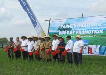 Jember: PT Pupuk Indonesia Siapkan 9,55 Juta Ton Pupuk Bersubsidi untuk Swasembada Pangan 2025