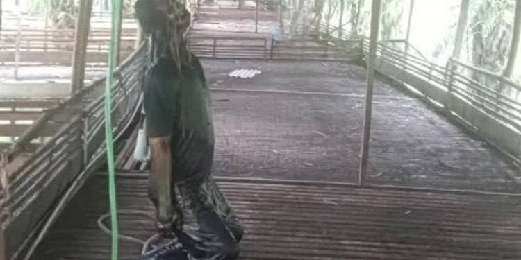 Penemuan Jasad Pria Tergantung di Kandang Ayam Desa Karang Mulya