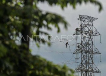 PLN dan Kejati Kalteng Perkuat Sinergi untuk Kelancaran Proyek Strategis Nasional