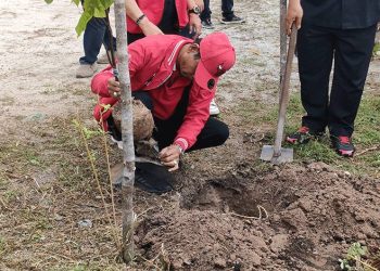 Ketua DPRD Kalteng Dorong Reboisasi untuk Pemulihan Lingkungan