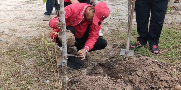 Ketua DPRD Kalteng Dorong Reboisasi untuk Pemulihan Lingkungan