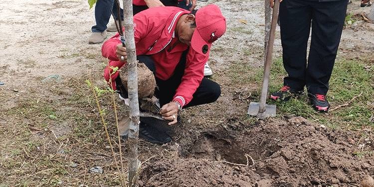 Ketua DPRD Kalteng Dorong Reboisasi untuk Pemulihan Lingkungan