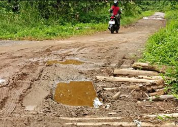 Warga Keluhkan Kerusakan Jalan Handel Balimau