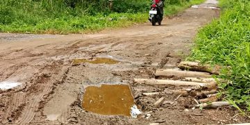 Warga Keluhkan Kerusakan Jalan Handel Balimau