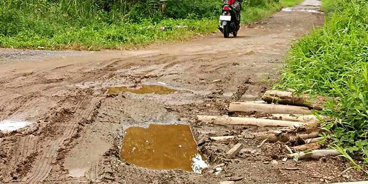 Warga Keluhkan Kerusakan Jalan Handel Balimau