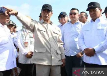 Mentan Pastikan Program Cetak Sawah di Kapuas Berkontribusi bagi Swasembada Nasional