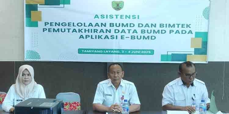 Pemkab Bartim Dorong Transparansi dan Inovasi BUMD Lewat Asistensi Teknis